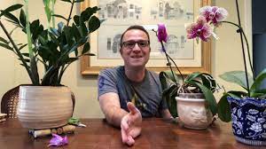 Pin On How To Grow Roses
