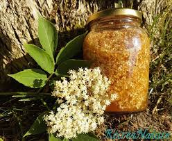 Mon Vinaigre De Cidre Aux Fleurs De Sureau Noir Du Jardin Et Des Idees Gourmandes Pour Les Utiliser Fleur De Sureau Sureau Vinaigre