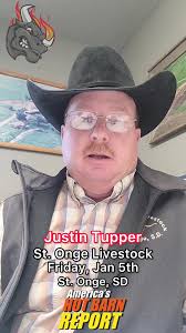 Justin Time Stables Farm Staurt