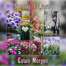 I am out of the office till thursday, 27th of april 2017 and your email will not be forwarded. Pin Von Yvonne2901 Auf Greetings Grusse Guten Morgen Samstag Grusse