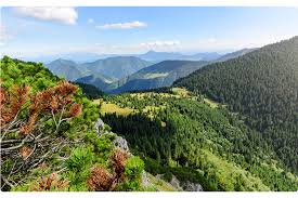 Slovak nature is not only picturesque but it is also rich in unusual finds and rarities. Slovakia Travel Slovaktb Twitter