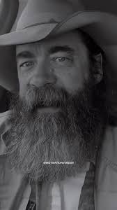 Inspiration Quotes: Rising After Every Fall