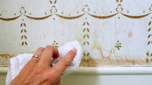 Ev Temizliginde 10 Pratik Bilgi Ucanlar Izmir Temizlik Sirketi