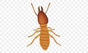 Larva Cartoon Png 500x500px Insect Animal Figure Ant Arthropod Beetle Download Free Watch tv show larva season 1 episode 2 mosquito online for free in hd/high quality. favpng com