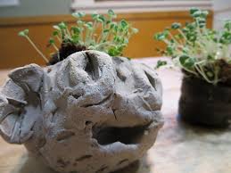 C ut nylon to size you would like your chia pet to be (you can always make it smaller later). Chia Pets The Kitchen Pantry Scientist