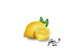 #karikatur #komik #mizah #komedi #karamizah #bebek #tavuk #döner #nusret. Dian Projects Photos Videos Logos Illustrations And Branding On Behance