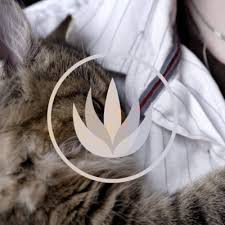 According to the evidence provided by new researches and studies, the purr of a cat acts like a therapeutic apparatus which does not only regenerate their body, but it fortifies it to some resilient magnitudes. Cat Purr 3 Hour Asmr Sound For Sleep Study And Concentration By Heal Your Mind With Nature A Podcast On Anchor