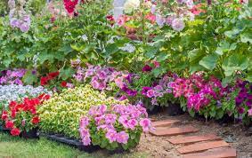 Maybe you would like to learn more about one of these? Fleurs Liste De Plantes A Fleurs Pour Un Jardin Colore Toute L Annee
