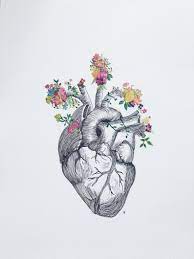Small anatomical heart with flowers drawing. Anatomical Heart Flowers Dibujo De Corazon Humano Tatuaje De Anatomia Como Dibujar Cosas