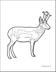 Use this lesson in your classroom, homeschooling curriculum or just as a fun kids activity that you as a parent can do. Clip Art Pronghorn Coloring Page I Abcteach Com Abcteach