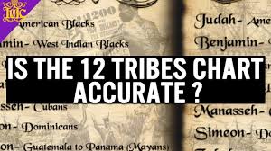 The Israelites Is The 12 Tribes Chart Accurate Bible