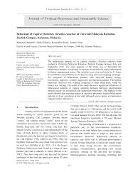 Officially recognized by the kementerian pendidikan tinggi. Pdf Behaviour Of Captive Ostriches Struthio Camelus At Universiti Malaysia Kelantan Bachok Campus Kelantan Malaysia