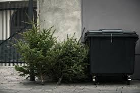 Sie müssen bis 7 uhr morgens vor dem grundstück abgelegt werden. Weihnachtsbaum Entsorgen Wohin Mit Dem Alten Baum