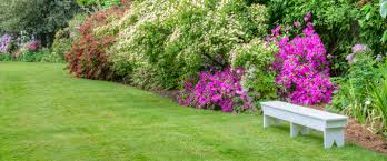 Lawn Care Services Katy Texas Landscaping Katy Texas 77450 Mulching Tree Triming Katy Texas 77450