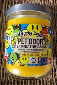 Maybe you would like to learn more about one of these? Candles Wangford Veterinary Clinic Store