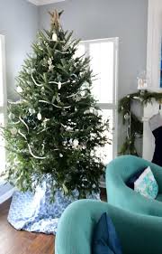 Maybe you would like to learn more about one of these? The Best Coastal Christmas Tree Ideas