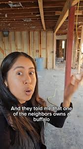 Would you live near a buffalo?🦬, Buffalo fun facts:, -can jump over fences  that are six feet high, -can weigh up to 2,000 pounds and stand as tall as  6 ft, •, •, •, #equestrianlife #equestrianproblems ...