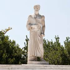 Image result for Hippocratea pallens