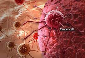 This list will help you identify some of the more dangerous. 12 Cancer Risk Factors And Causes