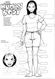 Search through 623,989 free printable colorings at getcolorings. Kids Coloring Pages Human Body