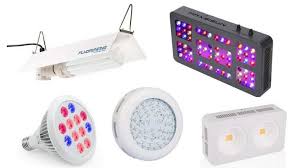 In the old days growing marijuana under fluorescent (cfl) grow lights was pretty useless as they had low output for a large size. Top 10 Best Cheap Grow Lights For Cannabis Your Easy Buying Guide Heavy Com