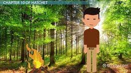 Hatchet Chapter 9 Summary Video Lesson Transcript Study Com