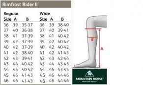 Mountain Horse Ladies Snowy River High Rider Long Boot