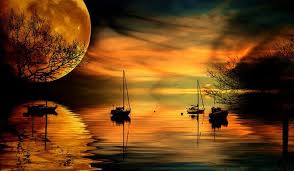 صحيح أنَّها صورة كئيبة ومحزنة ولكنها صورة حقيقية. ØµÙˆØ± Ø§Ù„Ø·Ø¨ÙŠØ¹Ø© Ø§Ù„Ø­Ø²ÙŠÙ†Ø© Ø¨ÙŠÙˆØªÙŠ