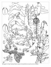Forest Coloring Pages Best Coloring Pages For Kids Forest Coloring Pages Animal Coloring Pages Coloring Pictures Of Animals