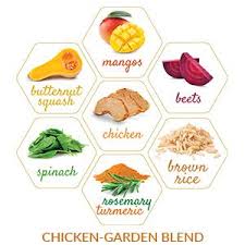 Amazon Com Compleat Organic Blends Chicken Garden 10 1 Fl Oz Pouch 24 Count Health Personal Care