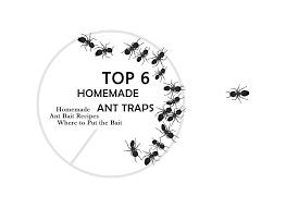 Visit our website to read more about ant poison: 7 Powerful Homemade Ant Killers How To Make A Diy Ant Trap Pest Wiki