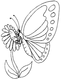 Cara menggambar kupu kupu how to draw butterfly youtube via www.youtube.com. Gambar Kupu Kupu Hitam Putih Untuk Mewarnai