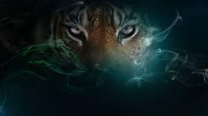 Finalmente, papéis de parede animados para seu iphone! Pin On Tigre