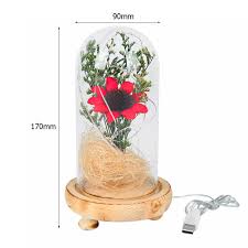 · a great way to take your mind off of the . Simday Sunflower Banquet Dried Flowers In Glass Dome Warm Bedside Lamp Gift Red Walmart Com Walmart Com