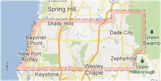 Keeping a home free of pests is one thing, but keeping a business free of them is absolutely necessary for those who want to stay in business. Pest And Rodent Control Pasco County