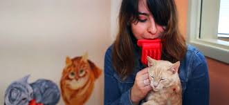 8 of the weirdest shark tank products that got investments 1) custom cat drawings (i want to draw a cat for you) in season three of shark tank, billionaire mark cuban put up $25 thousand for a 33% stake in a company that sells custom drawings of cats. Pdx Pet Design After Shark Tank 2018 Update Gazette Review