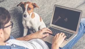 Aumenta tus ingresos como freelance. 10 Reglas De Oro Para Trabajar Desde Casa Sin Sucumbir A La Locura Madrid Secreto