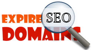 Cara Mudah Mencari Domain Expired Yang Berkualitas Rialdi Seo Di 2020 Penemu Perbaikan Website