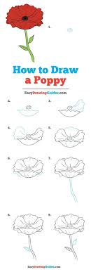 Learn How To Draw A Poppy Easy Step By Step Drawing Tutorial For Kids And Beginners Poppy Draw Flower Drawing Tutorials Poppy Drawing Drawing Tutorial Easy
