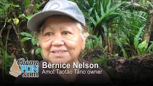 Traditional Chamorro healers invited to Naval base to harvest plants