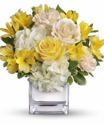 We did not find results for: Elegant Yellow Get Well Flowers In Baytown Tx Black Orchid Florist Llc