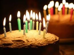 happy birthday funny dog cake happy birthday pictures images pics happy birthday pictures happy birthday fun happy birthday images