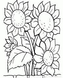 coloriage fleur tournesol dessin gratuit a imprimer mickey mouse