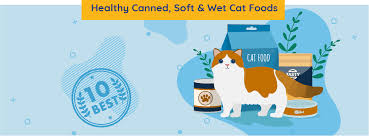 10 Best Healthy Canned Soft Wet Cat Food 2019 Unbiased