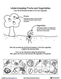Understanding Fruits And Vegetables Kindergarten Worksheets Science Worksheets Worksheets For Kids