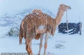 Apple, the apple logo, airplay, airport express, apple tv, facetime, ibooks, ipad, iphone, ipod touch, isight, itunes, mac, and safari are trademarks of apple inc., registered in the u.s. Ice Blankets The Sahara Desert While Snow Falls In Saudi Arabia Where Temperature Has Dropped To 2c Daily Mail Online