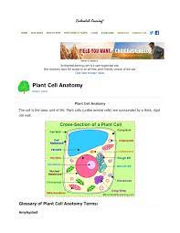 Maybe you would like to learn more about one of these? Plant Cell Anatomy Enchanted Learning