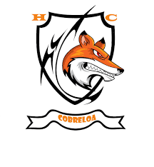 Cobreloa se transformó en una bolsa de zorros. Tweets With Replies By Hinchada De Cobreloa Infocobreloa Twitter
