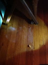 Pin On Remove Stain From Wood Floors