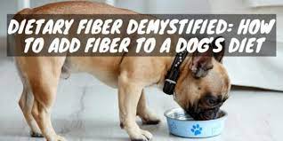 How To Add Fiber To Your Dog S Diet Fiber Demystified Dogs And Treats